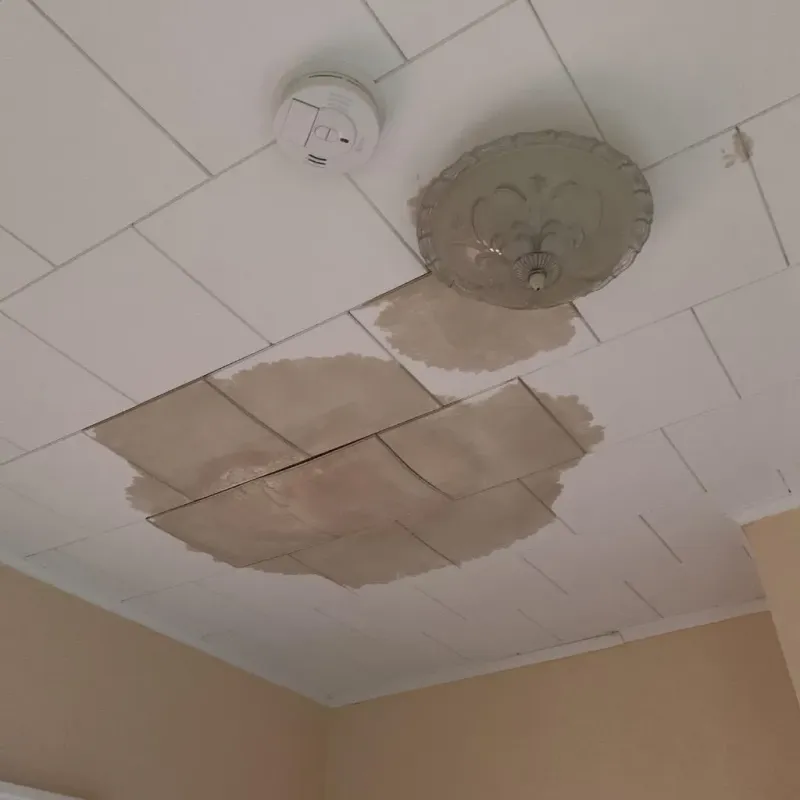 Ceiling Water Damage Repair in Greene County, IL