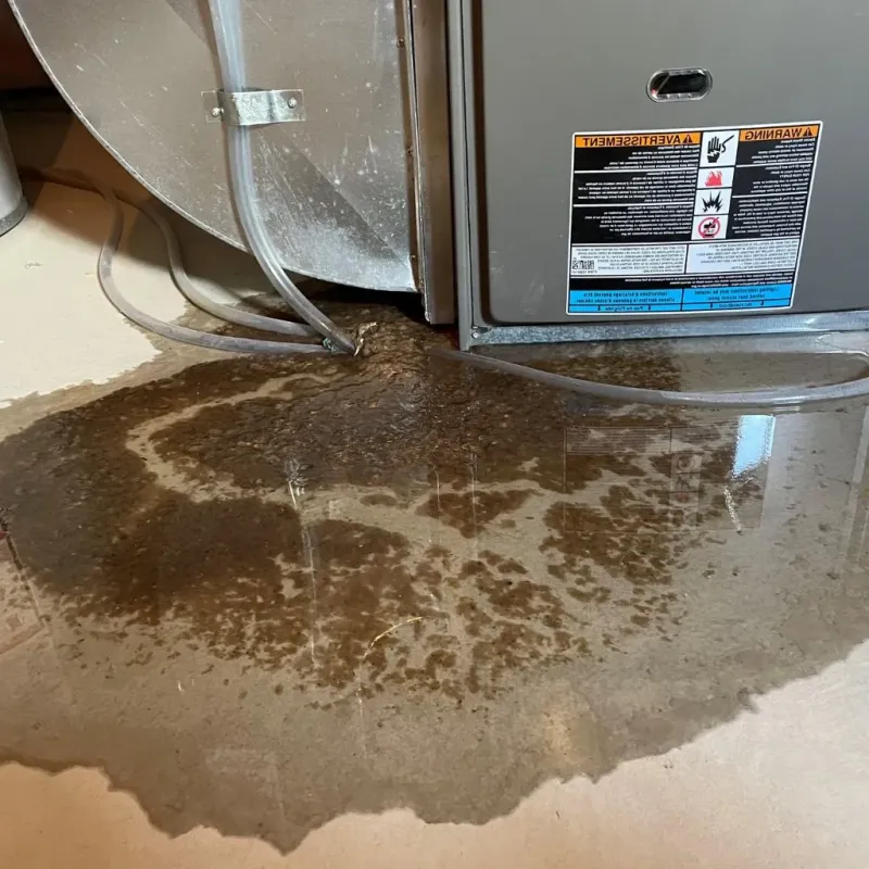 Pipe Burst and Leak Restoration in Greene County, IL