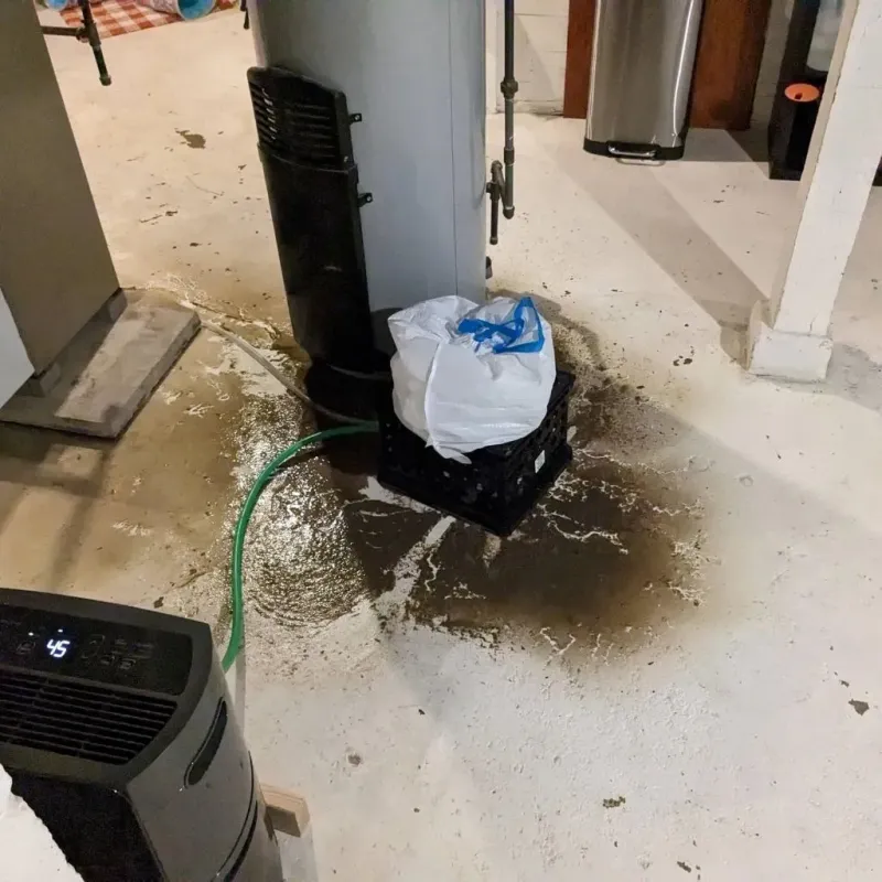 Sewage Backup Cleanup Service in Greene County, IL